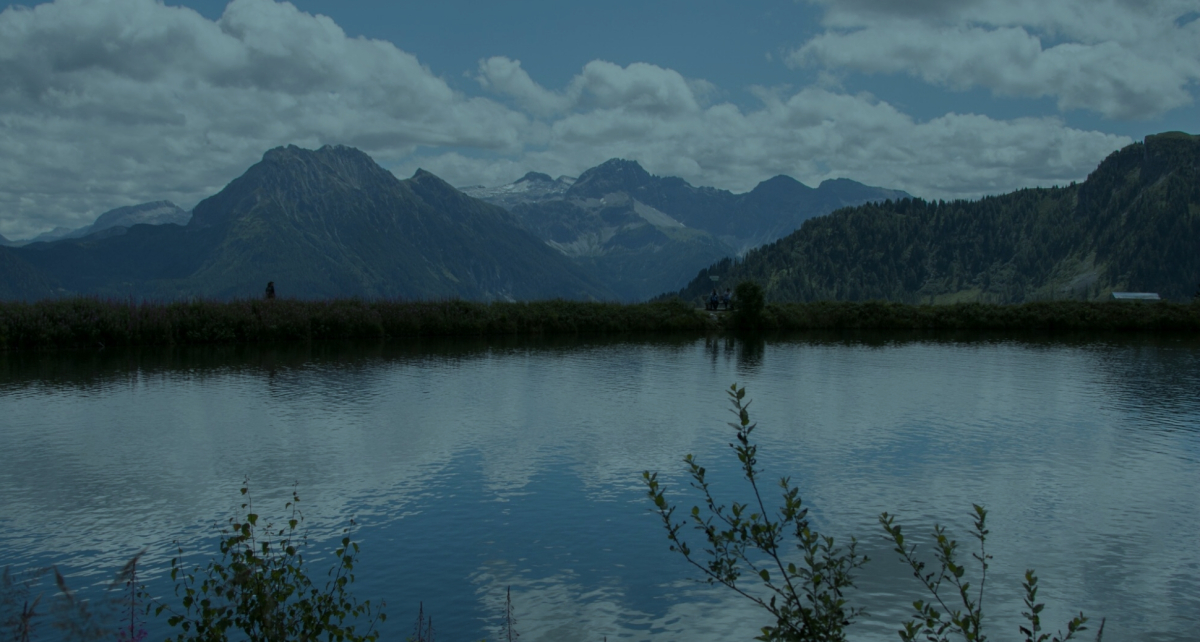 home-banner image