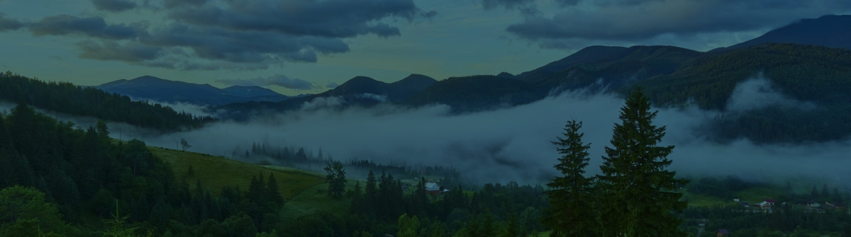 practice-area-banner image